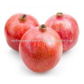 Spray dried pomegranate powder manufacturer